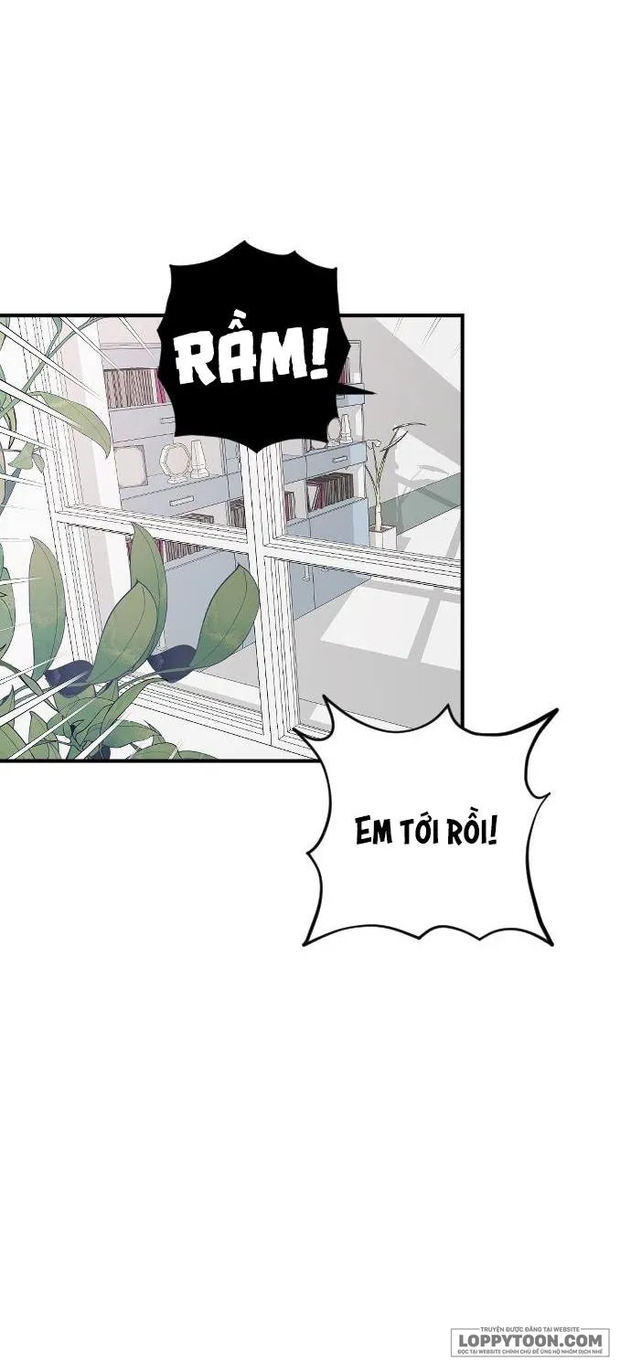 Ba Anh Trai Cực Phẩm Của Tôi Chap 24 - trang 13