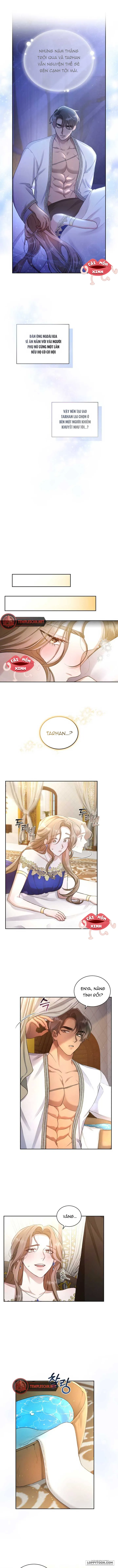Khu Rừng Hoang Dã Chap 1 - trang 6