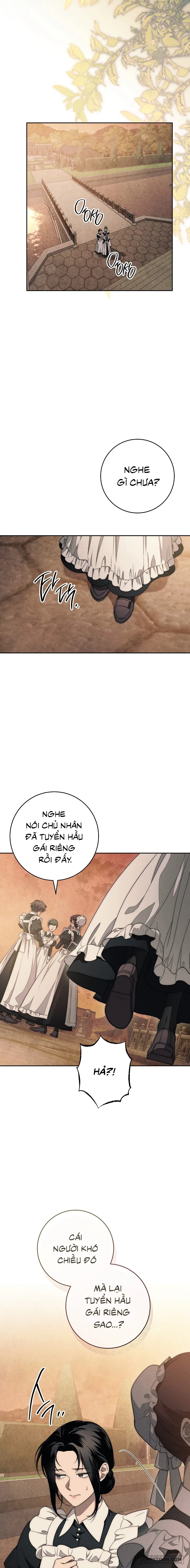 Mộ Thiên Nga Chap 12 - trang 1