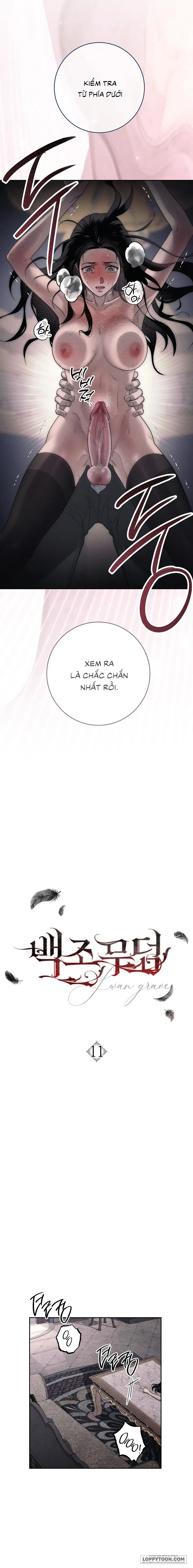 [KHÔNG CHE] Mộ Thiên Nga Chap 11 - 🔞🔞🔞 - trang 1