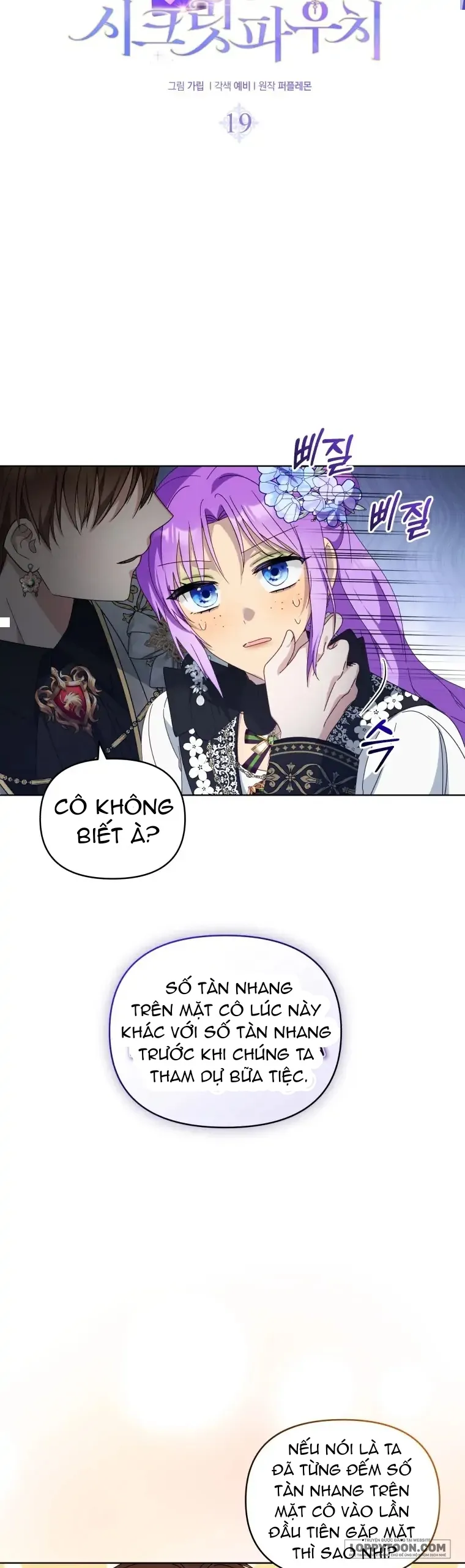 Chiếc Túi Bí Mật Của Quý Cô Xấu Xí Chap 19 - trang 13