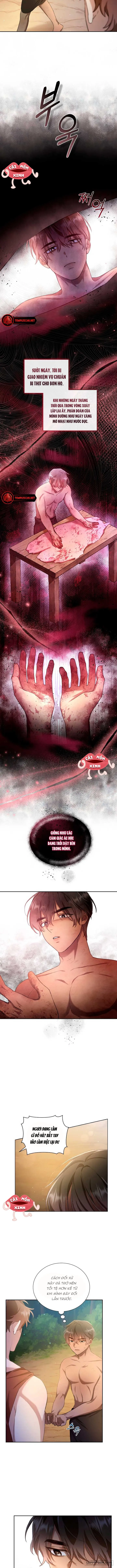 Khu Rừng Hoang Dã Chap 3 - trang 10