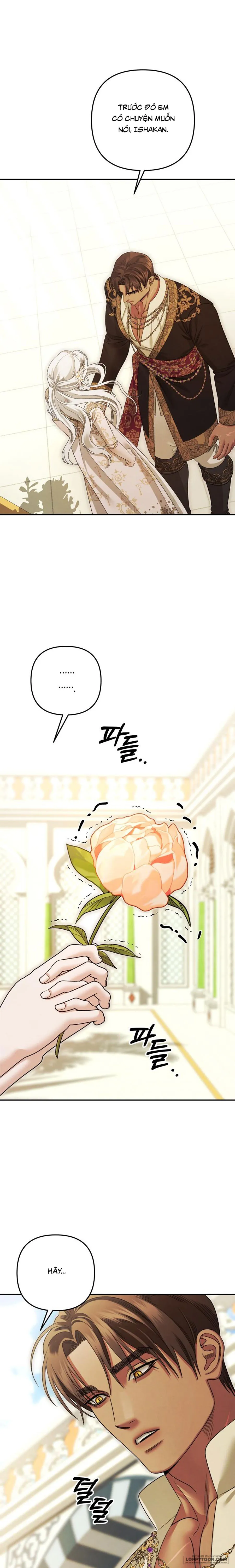 Cuộc Hôn Nhân Bị Cướp Đoạt Chap 64 - trang 28
