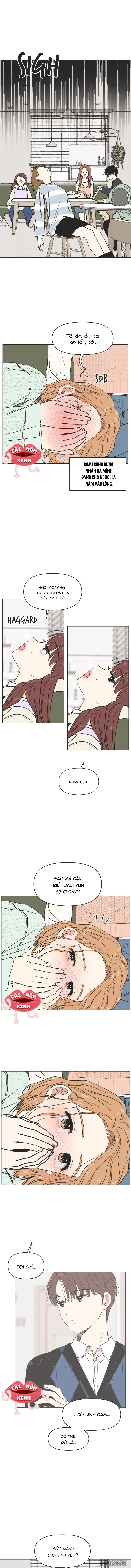 Thanh Xuân Ngọt Ngào Chap 10 - trang 5