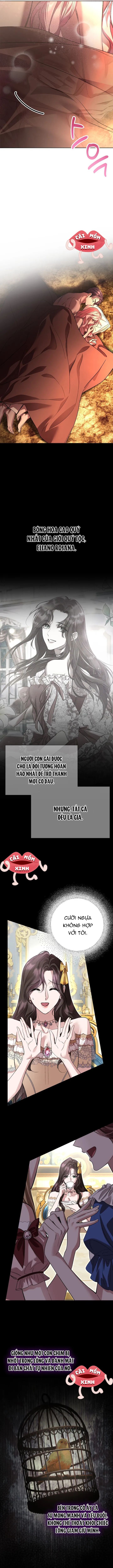 Cuộc Hôn Nhân Bị Bắt Cóc Xuyên Thời Gian Của Hoàng Hậu Chap 33 - trang 4