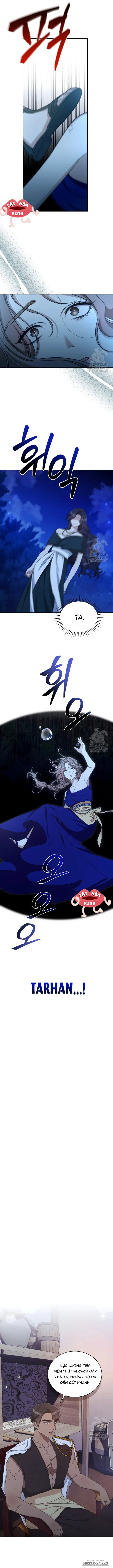 Khu Rừng Hoang Dã Chap 25 - trang 8