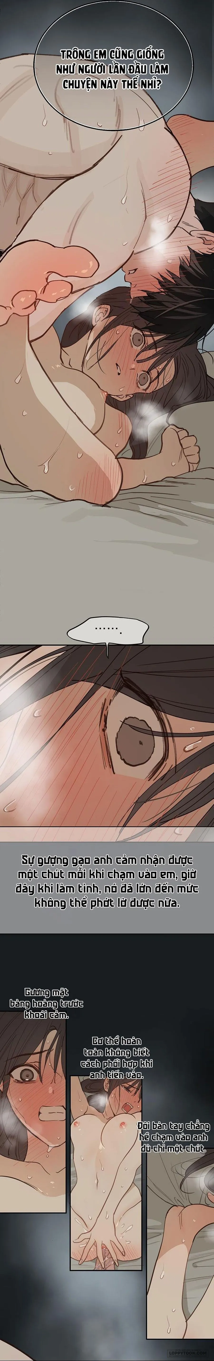 [KHÔNG CHE] Đóa Hoa Là Mồi Nhử Chap 50 - 🔞🔞🔞🔞🔞 - trang 3