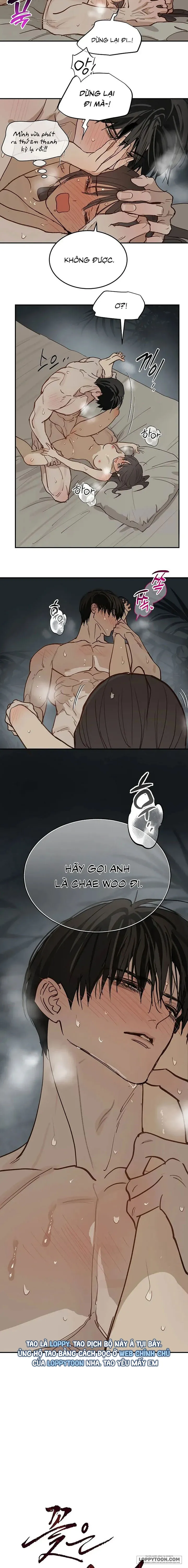 [KHÔNG CHE] Đóa Hoa Là Mồi Nhử Chap 49 - 🔞🔞🔞🔞🔞 - trang 19