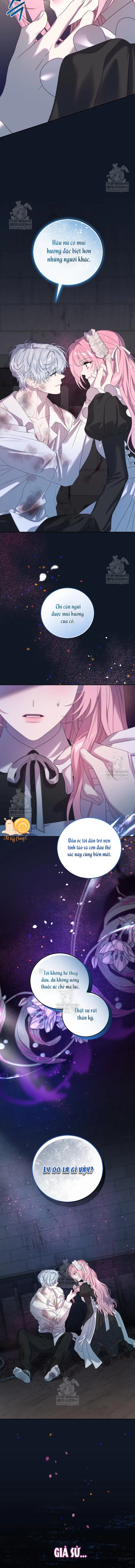 Kẻ Ám Ảnh Cuồng Tín Đang Cố Giam Cầm Tôi Chap 6 - trang 4