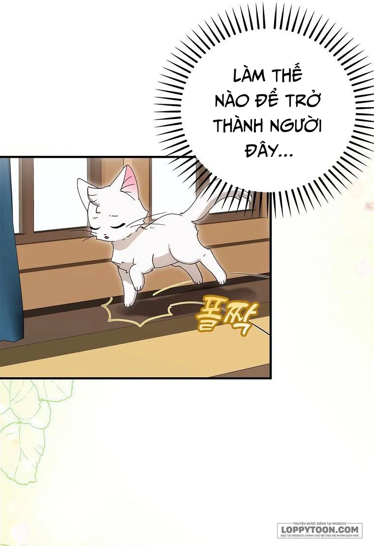 Trở Thành Miêu Nữ Của Hoàng Đế Chap 2 - trang 49