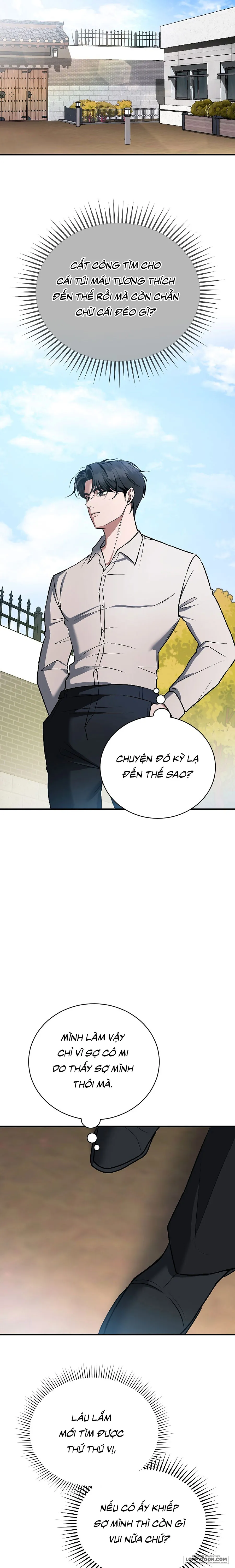 Chó Hoang Mơ Giấc Mơ Săn Mồi Chap 12 - trang 21