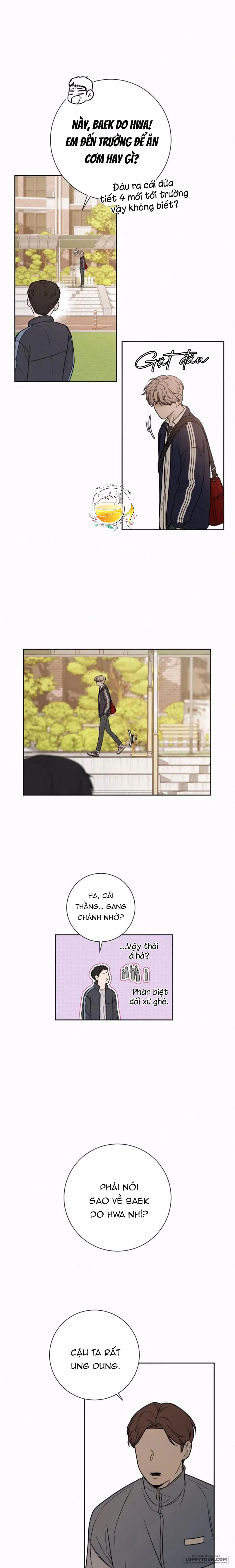 Chiến Lược Tình Yêu Trong Sáng Chap 13 - trang 19