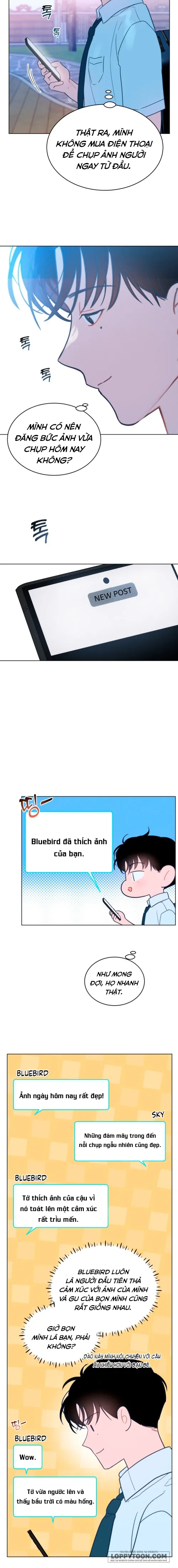 Gửi trời hạ dịu dàng kia Chap 1 - trang 7