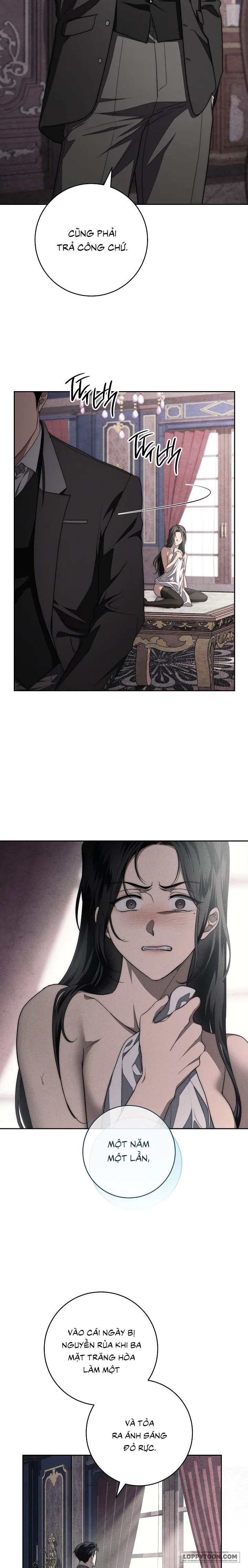 Mộ Thiên Nga Chap 11 - 🔞🔞🔞 - trang 17