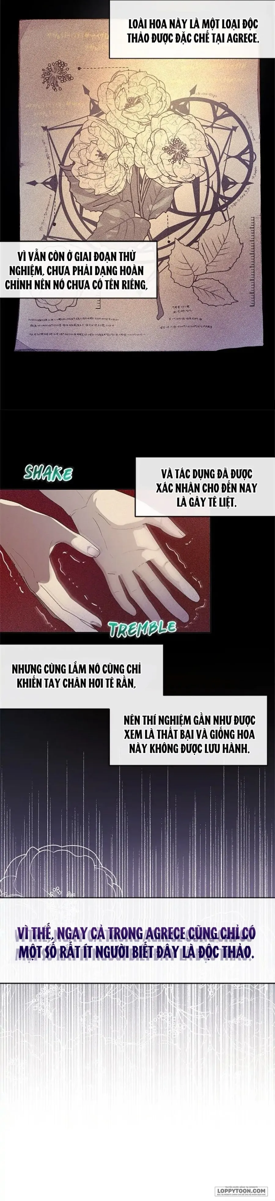 Roxana: Phương Pháp Bảo Vệ Anh Trai Của Nữ Chính Chap 10 - trang 19