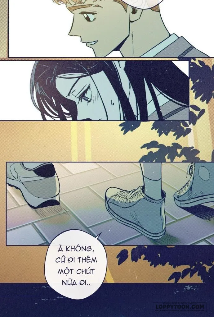 Trắc Nghiệm 4 Lựa Chọn Chap 15 - trang 13