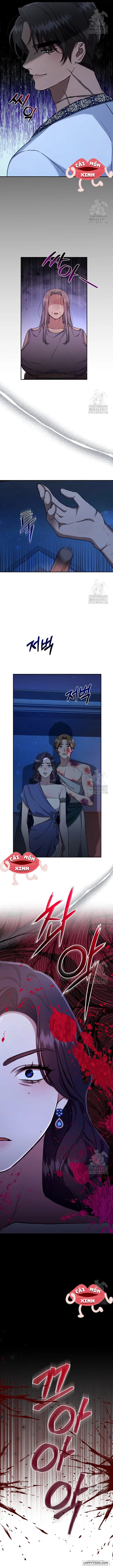 Khu Rừng Hoang Dã Chap 21 - trang 12
