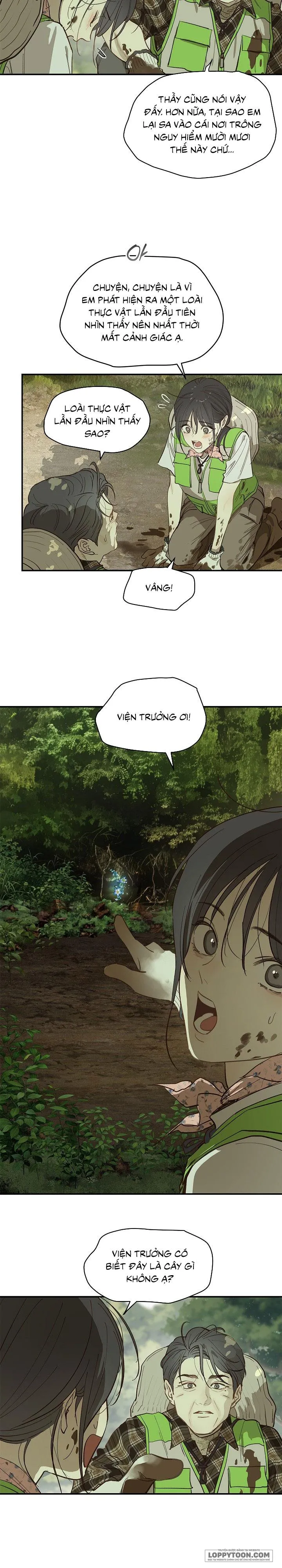 Đóa Hoa Là Mồi Nhử Chap 38 - trang 19