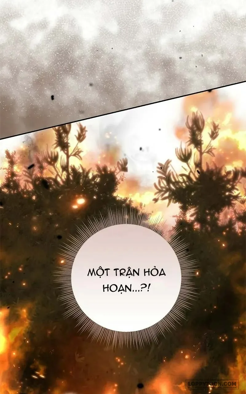 Presepe Bên Ngoài Chiếc Lồng Chap 46 - trang 22