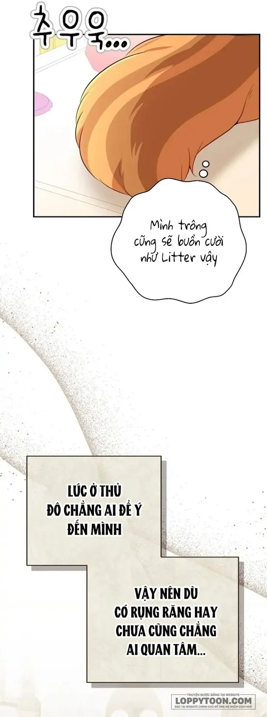 Sóc Con Tài Năng Chap 52 - trang 24