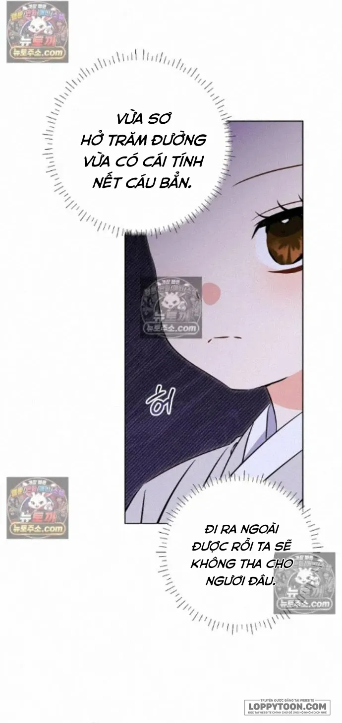 Tôi Sinh Ra Là Con Gái Của Một Cung Phi Hèn Mọn Chap 84 - trang 49