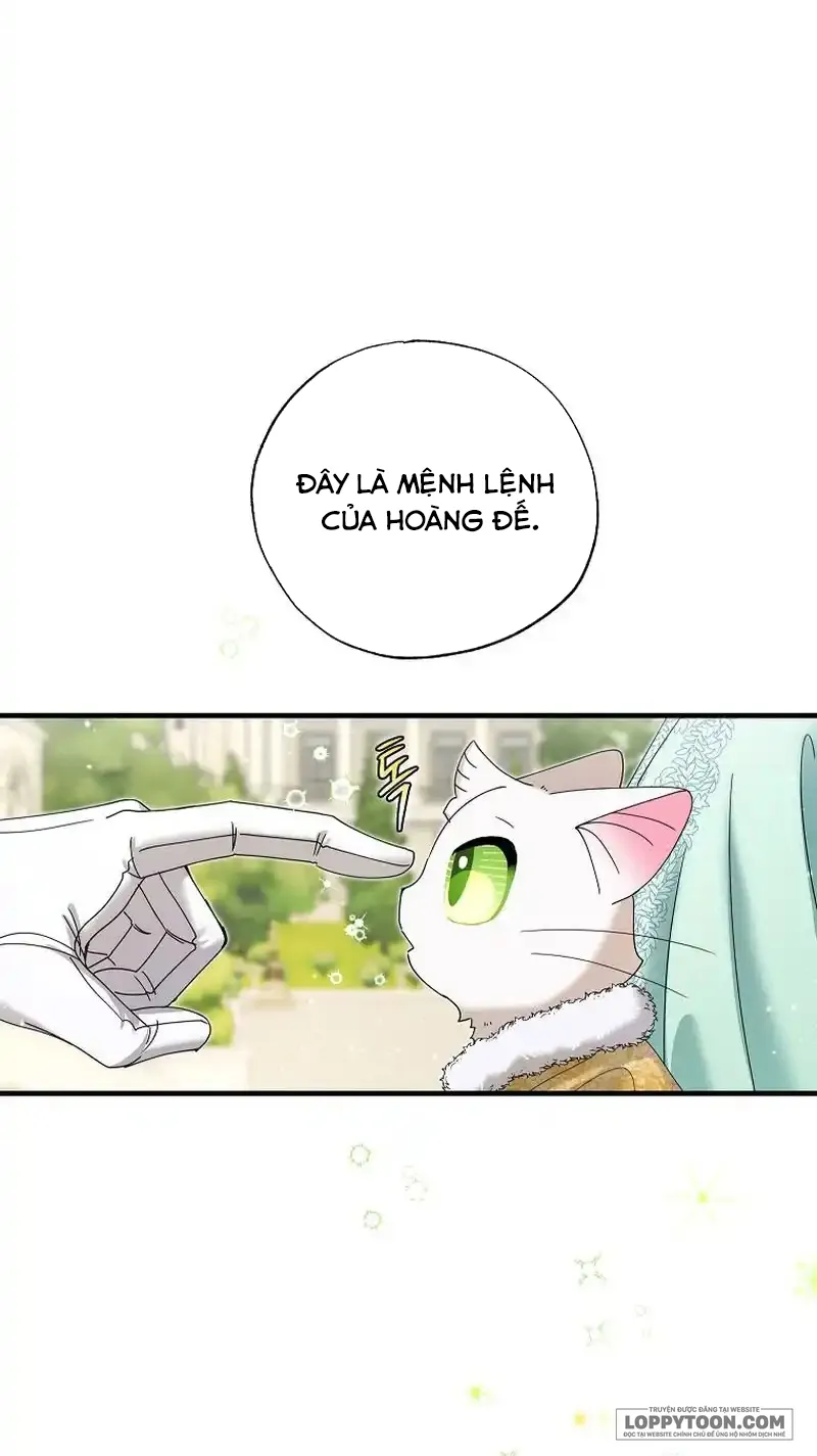 Trở Thành Miêu Nữ Của Hoàng Đế Chap 26 - trang 27