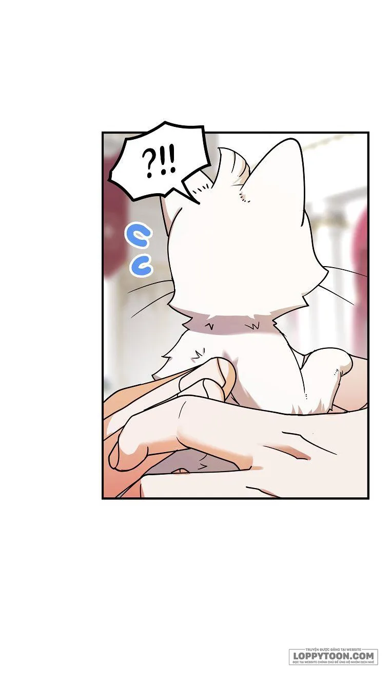 Trở Thành Miêu Nữ Của Hoàng Đế Chap 1 - trang 16