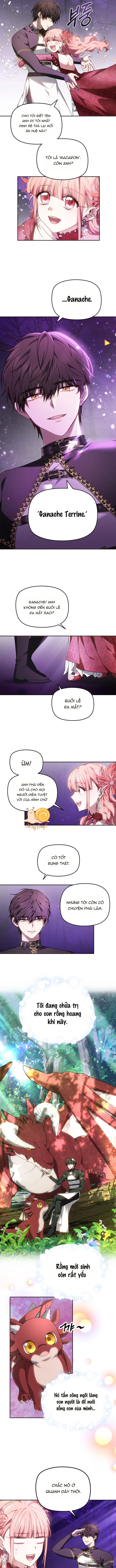 Tiểu Thư Mạnh Mẽ Muốn Trở Nên Yếu Đuối Chap 2 - trang 22