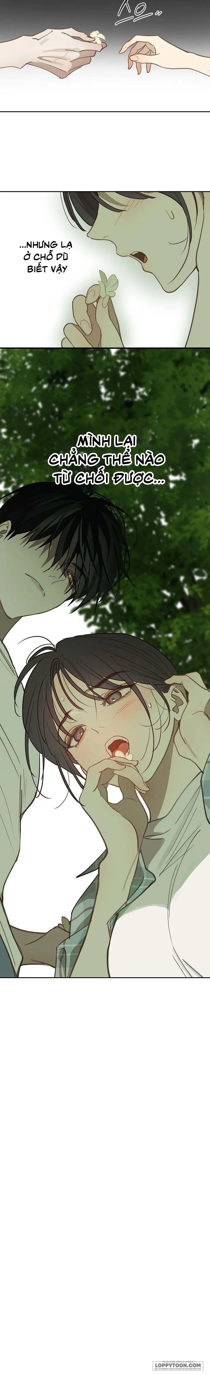 Đóa Hoa Là Mồi Nhử Chap 18 - trang 17
