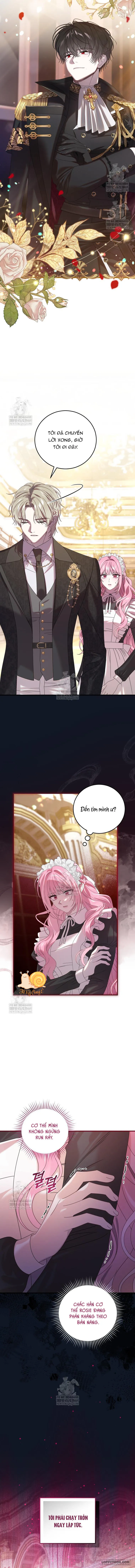 Kẻ Ám Ảnh Cuồng Tín Đang Cố Giam Cầm Tôi Chap 14 - trang 4