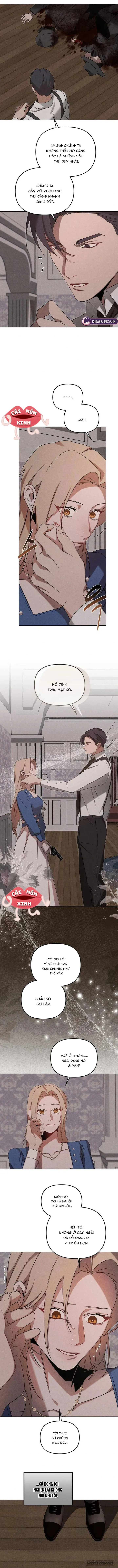 Nơi Đóa Hồng Vàng Úa Tàn Chap 15 - trang 12