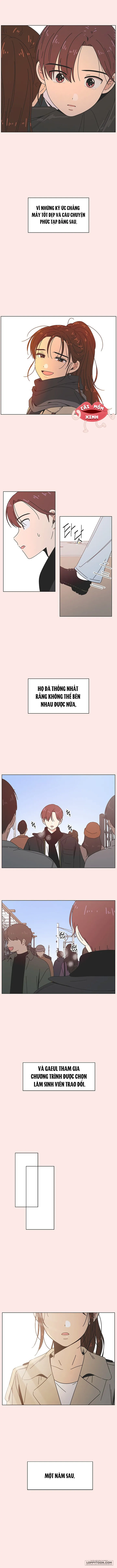 Thanh Xuân Ngọt Ngào Chap 42 - trang 2
