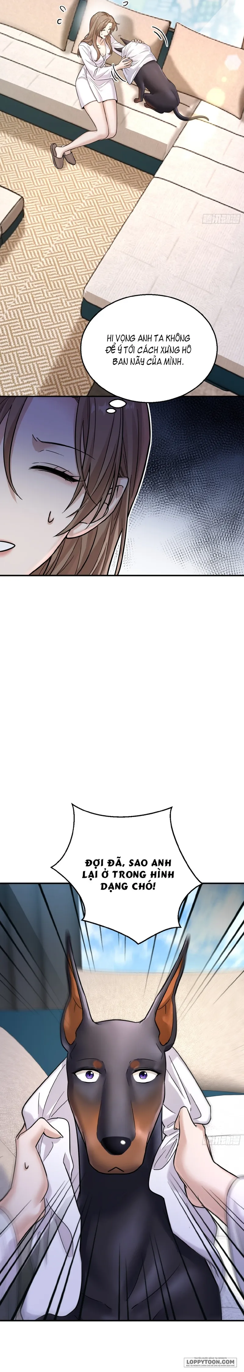 Gã Đàn Ông Này Đúng Là Cẩu Nam Nhân Chap 6 - trang 13