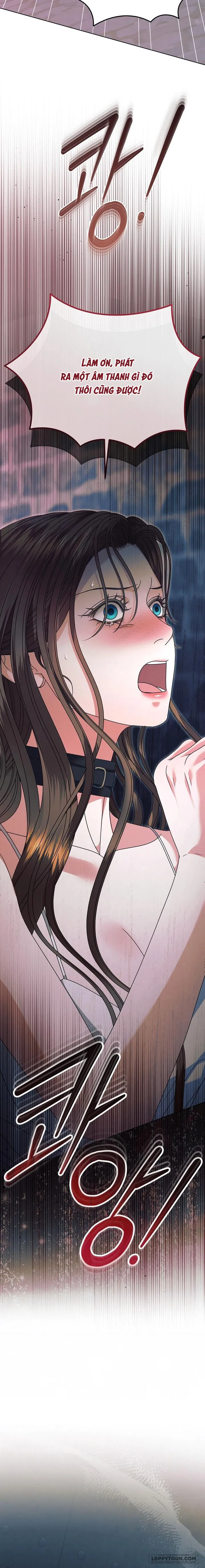 Hãy Cầu Xin Tôi Đi Chap 52 - trang 17
