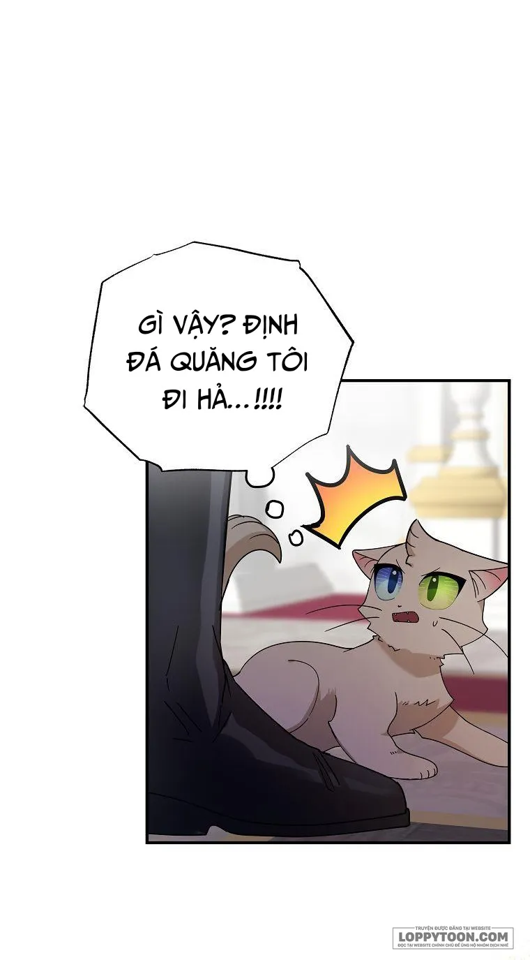 Trở Thành Miêu Nữ Của Hoàng Đế Chap 2 - trang 34