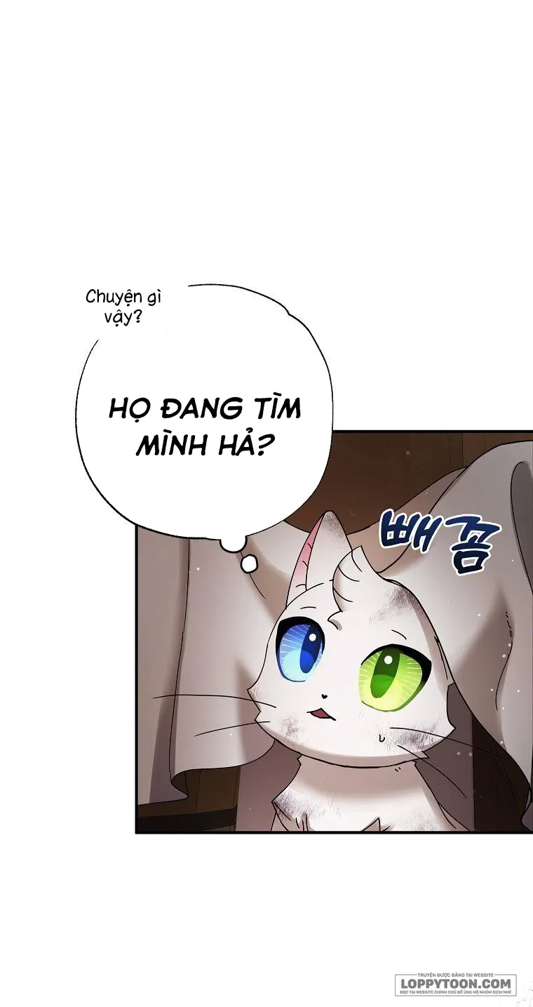Trở Thành Miêu Nữ Của Hoàng Đế Chap 9 - trang 31