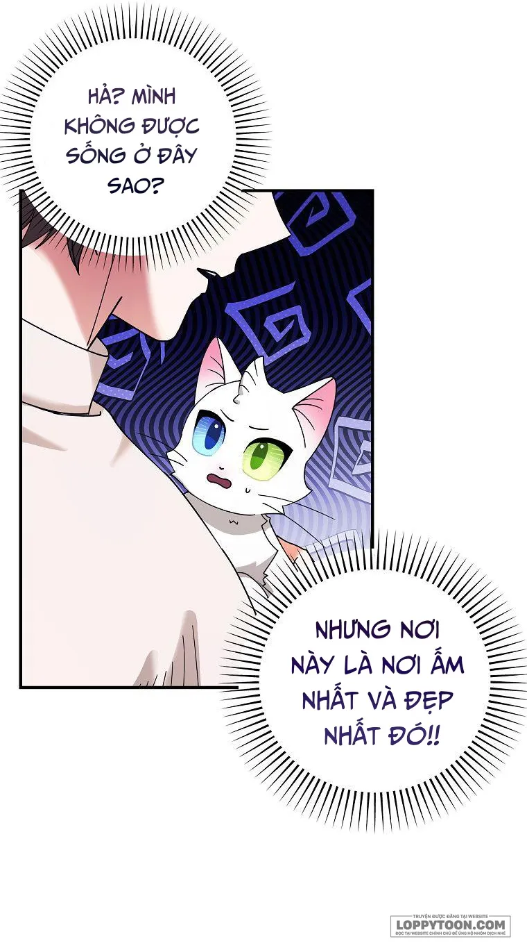 Trở Thành Miêu Nữ Của Hoàng Đế Chap 2 - trang 41