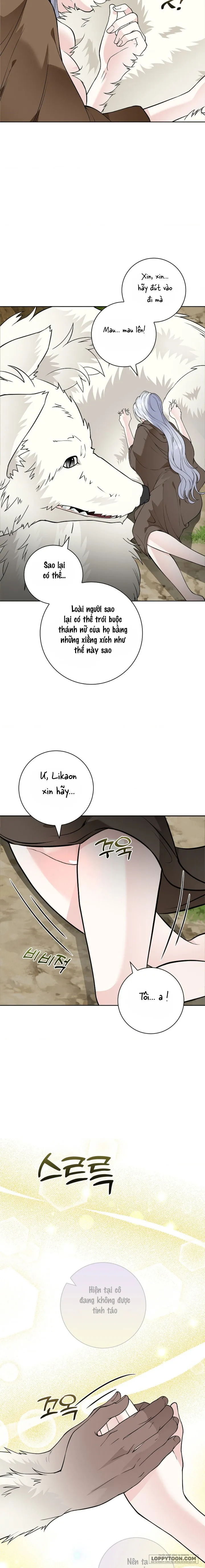 Cánh Hoa Ướt Đẫm Của Thánh Nữ Chap 15 - 🔞🔞🔞 - trang 15