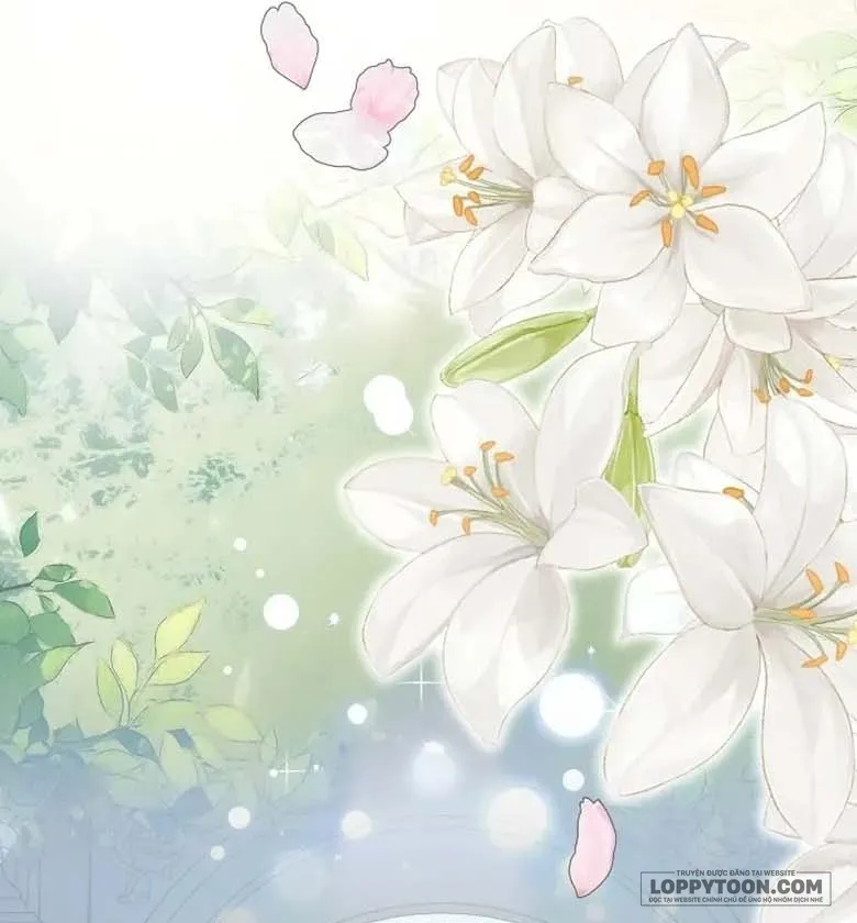 Tiểu Thư Tích Tiền Đi Bụi Chap 121 - trang 48
