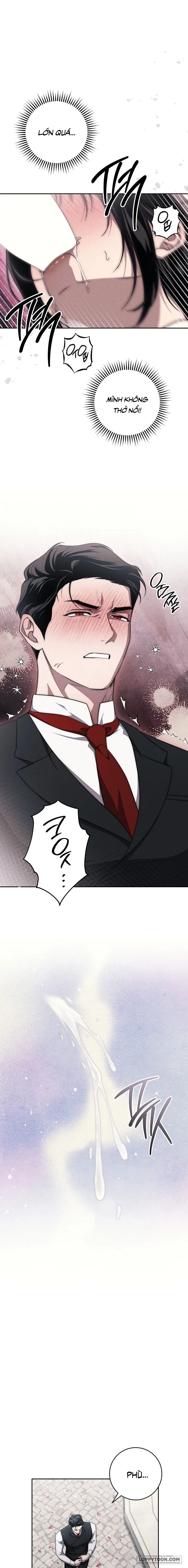 Mộ Thiên Nga Chap 17 - 🔞🔞🔞 - trang 11