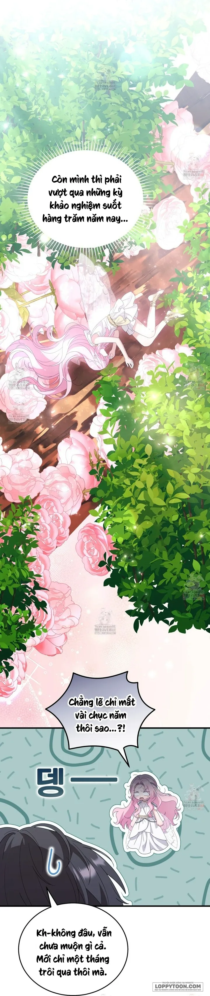 Nàng Tiên, Hãy Ký Hợp Đồng Nào Chap 71 - trang 5