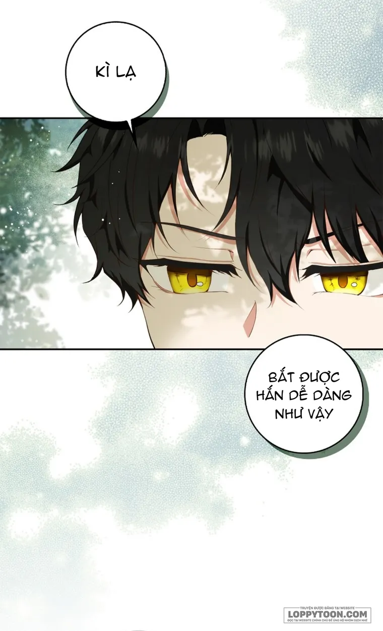 Sóc Con Tài Năng Chap 8 - trang 14