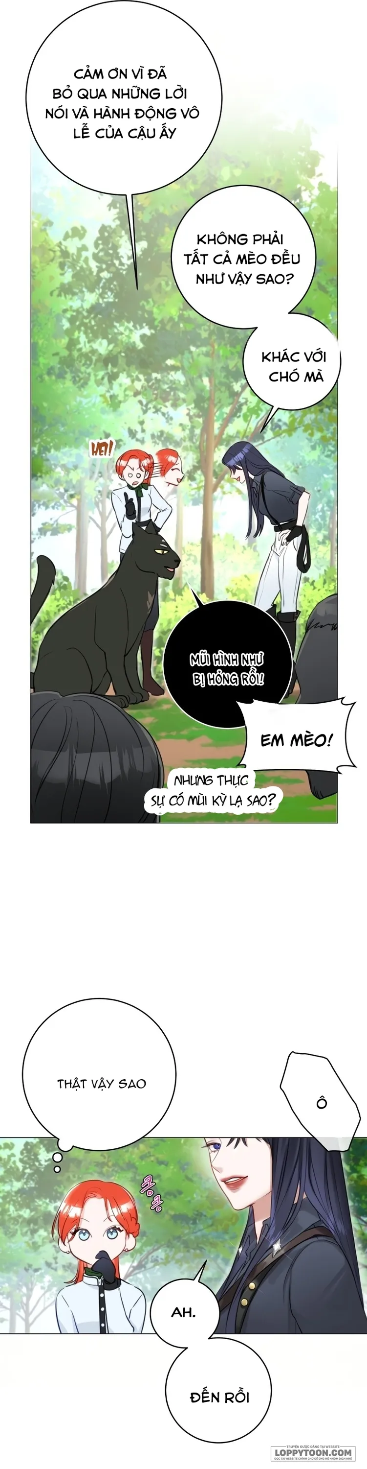 Cuộc Hôn Nhân Xa Hoa Của Đại Công Tước Là Giả Chap 22 - trang 5