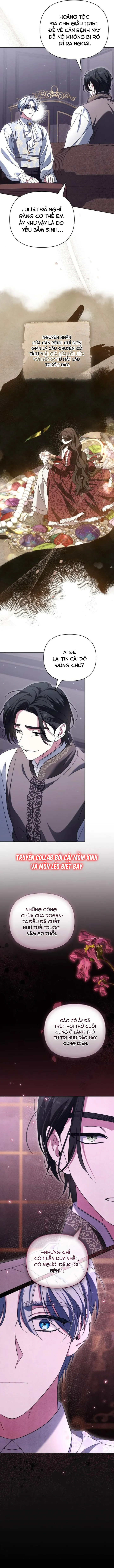 Dành Cho Nàng Juliet Xinh Đẹp Chap 9 - trang 11