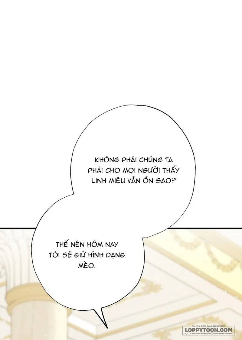 Trở Thành Miêu Nữ Của Hoàng Đế Chap 73 - trang 15