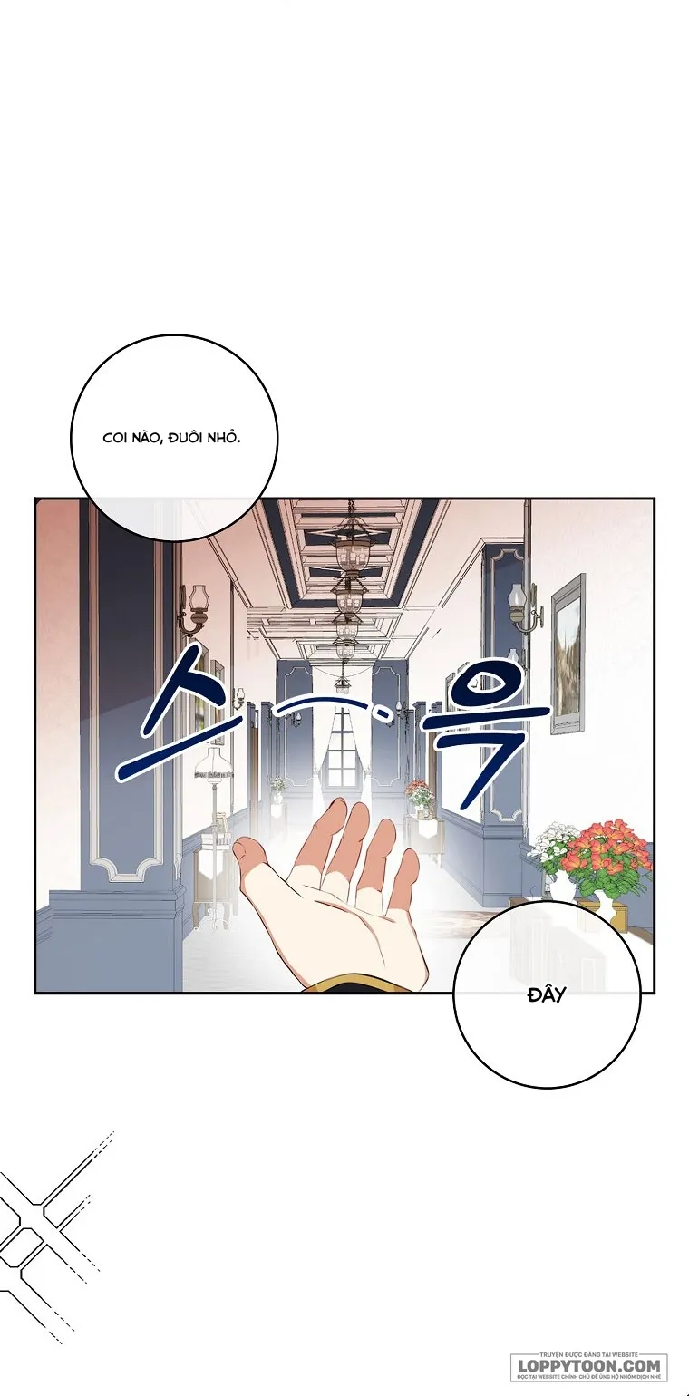 Sóc Con Tài Năng Chap 10 - trang 35