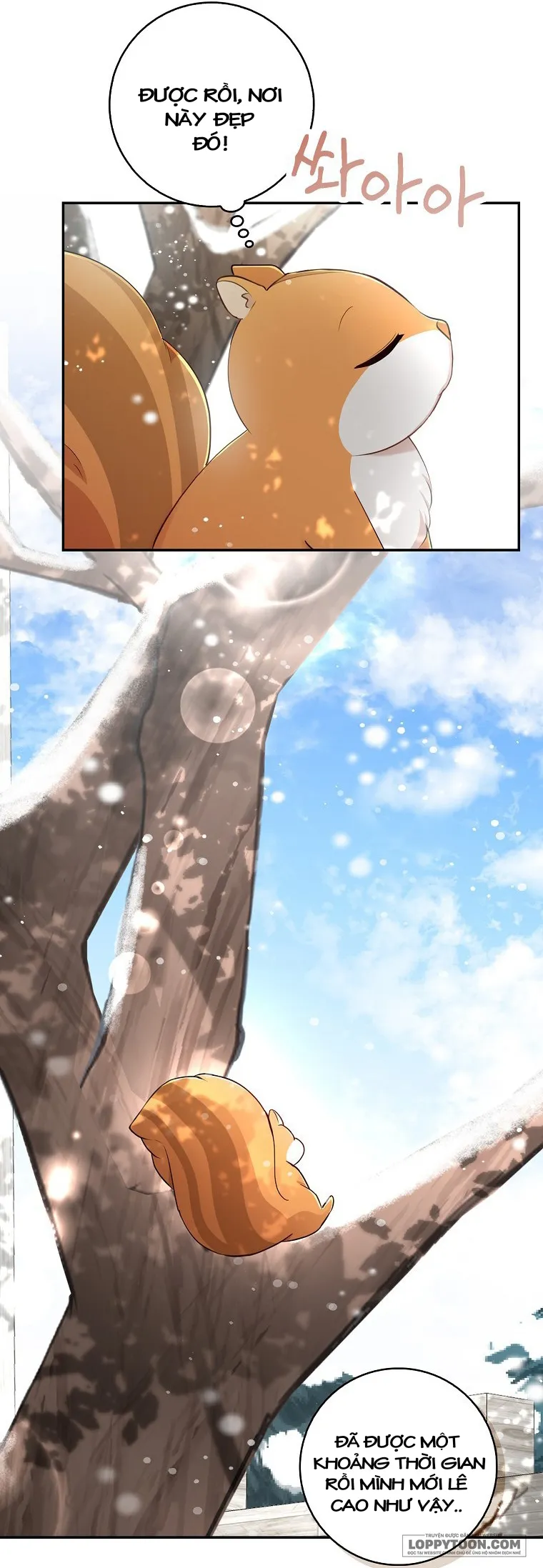 Sóc Con Tài Năng Chap 22 - trang 43
