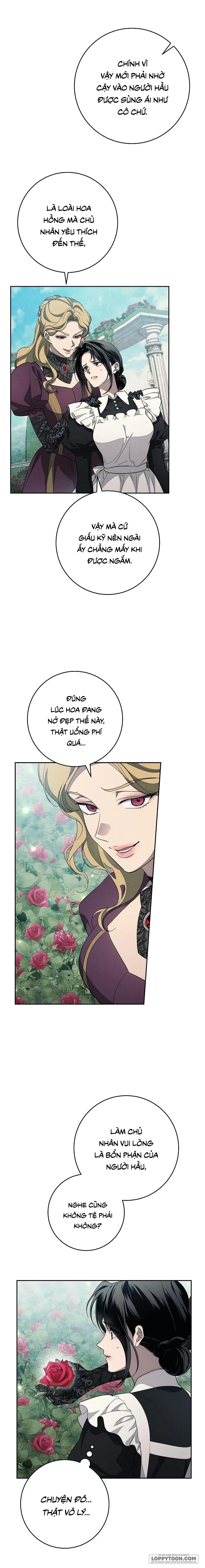 Mộ Thiên Nga Chap 22 - trang 17