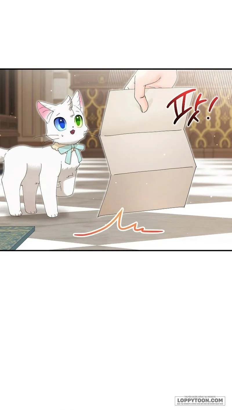Trở Thành Miêu Nữ Của Hoàng Đế Chap 40 - trang 1