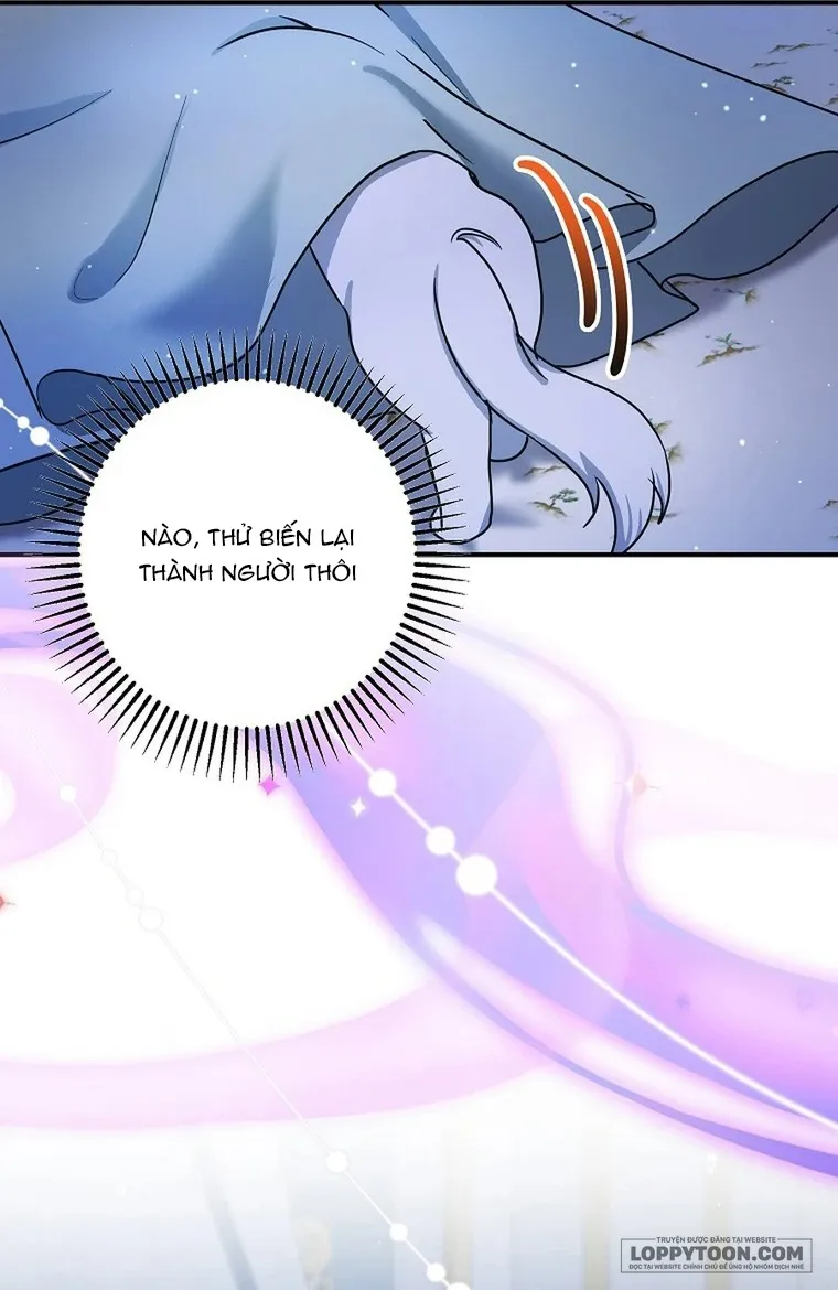 Trở Thành Miêu Nữ Của Hoàng Đế Chap 72 - trang 54
